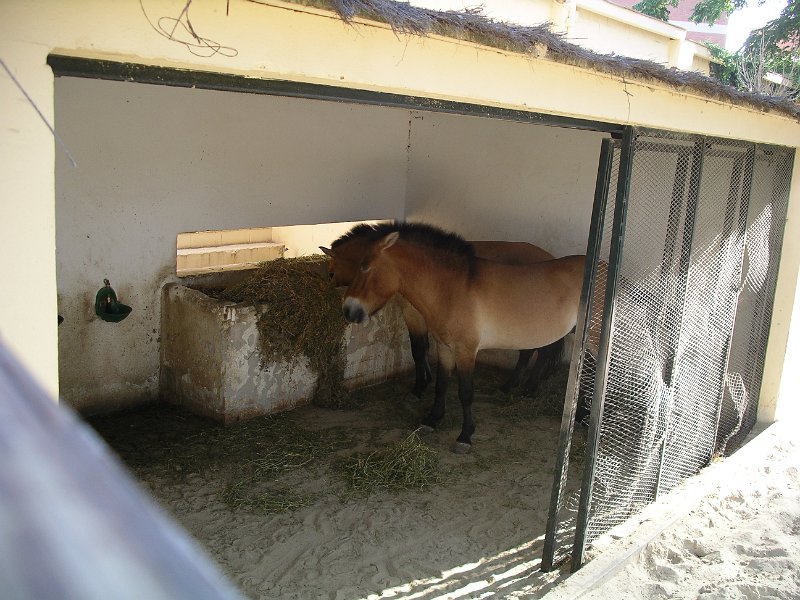 Spanje 2010 293.JPG